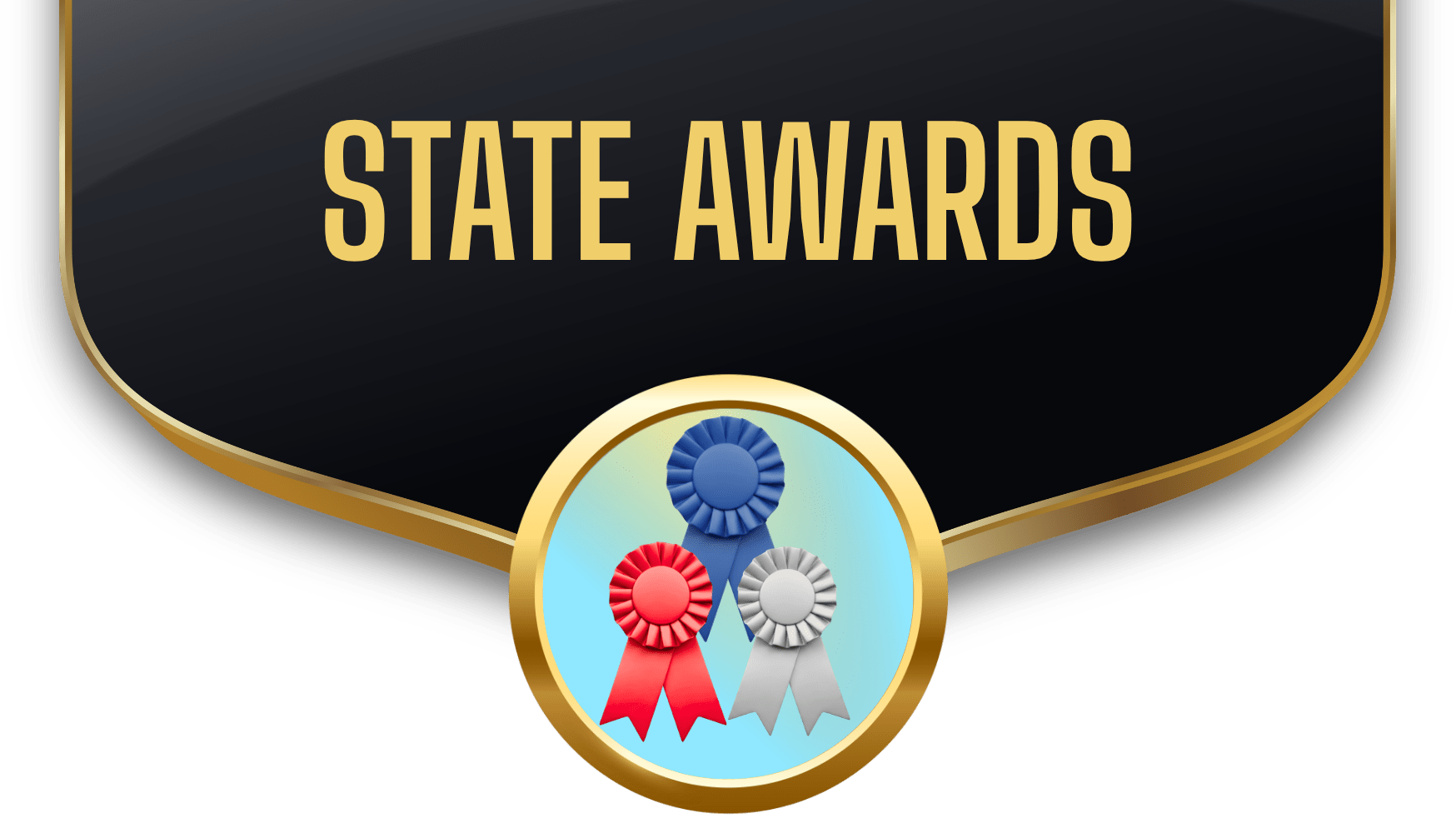 Black badge with gold border and bold TAN text 'STATE AWARDS', plus a circular medal with blue, red, and silver ribbons below.